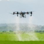 DJI Agras T50 Agrar