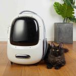PETKIT Breezy Dome 2 Cremeweiß mit LED-Beleuchtung