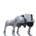 Unitree Go2X – Vierbeinige Robotik-plattform in stabiler Standposition
