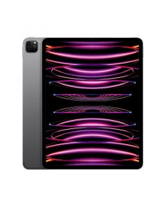 Apple iPad Pro 12.9 Wi-Fi spacegrau - 6. Gen. Tablet