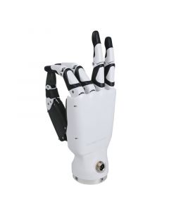 Inspire Robots Dexterous Robotic Hands RH56DFX