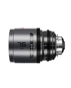 DZOFILM Pavo 2x Anamorphic 75mm T2.1 für PL/EF Mount S35 metric - Neutral Coating Objektiv