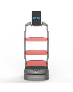 OrionStar LuckiBot Bot