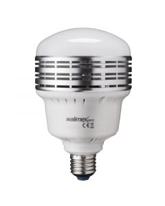 Walimex Pro LED Lampe LB-25-L 25W Dauerlicht