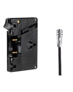 Wooden Camera WC Gold-Mount (Blackmagic Pocket Cinema Camera 4K) Lieferung
