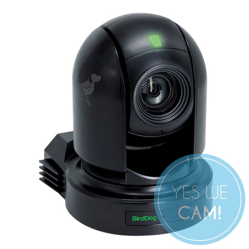 BirdDog Eyes P200 Black Kaufen