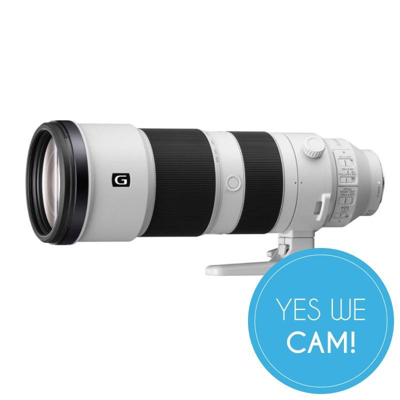 Sony SEL200600G Objektiv kaufen